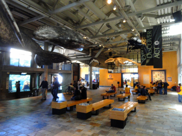 Ein großer Raum voller Menschen auf Bänken sitzend und stehend, mit Schildern, Lichtern und einem Bildschirm, der an einen Museumsraum erinnert.