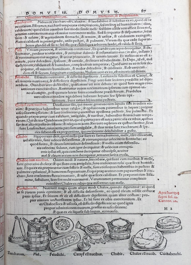 Offenes Buch mit detaillierten Illustrationen von Obst, Gemüse und Getreide neben mehrfarbigem, variierendem Schriftbild.