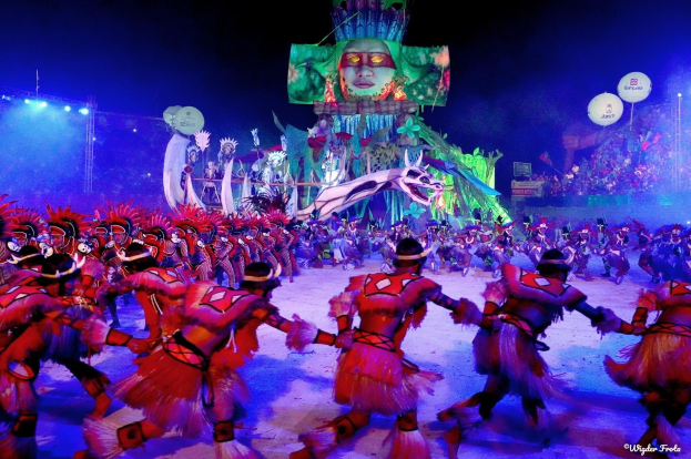 Eine Gruppe von Menschen in farbenfrohen Kostümen tanzt auf einer Bühne vor einem sitzenden Publikum bei der Rio-Karneval 2014, mit einem Bildschirm im Hintergrund, der eine Person und andere Gegenstände anzeigt.