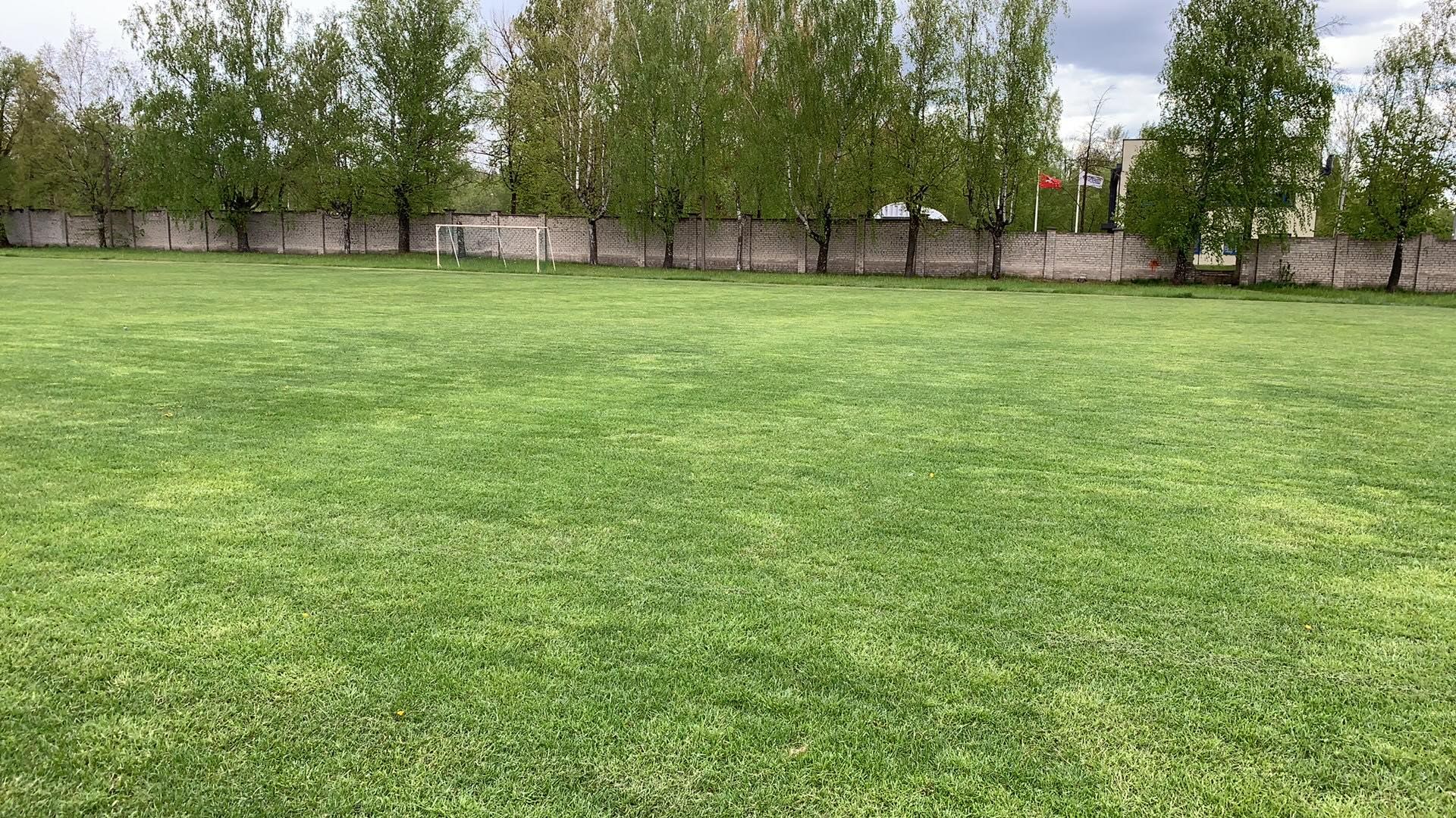 Fußballplatz mit Kunstgras, umgeben von einer Wand und Bäumen, mit Gebäuden und einem bewölkten Himmel im Hintergrund.