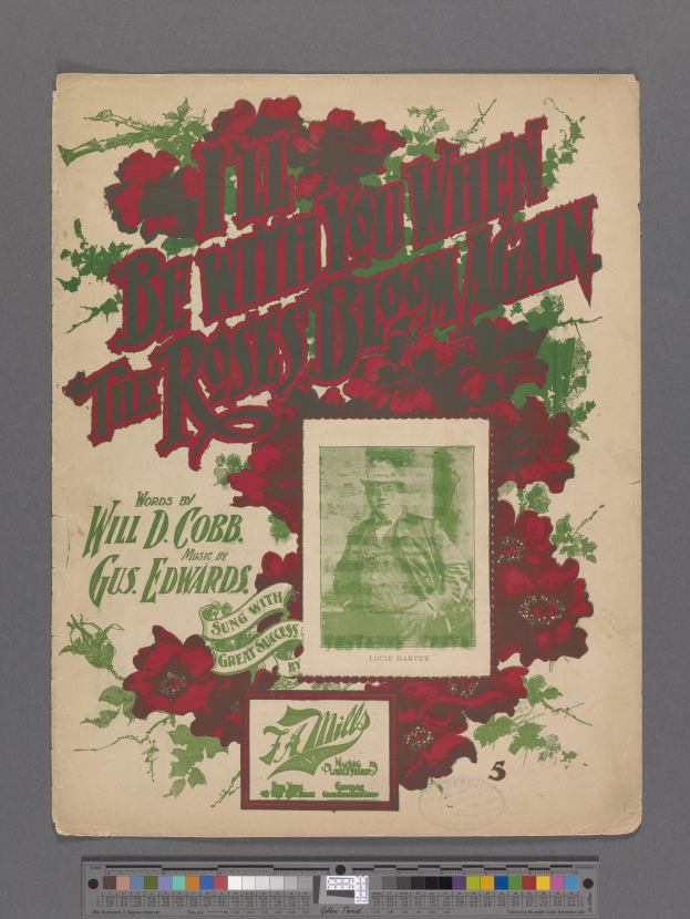 Ein Plakat mit einer Person in einem weißen Kleid mit einer pinken Schleife im Haar, umgeben von leuchtend roten und gelben Rosen in voller Blüte, mit dem Text "Ich werde bei dir sein, wenn die Rosen erneut blühen."