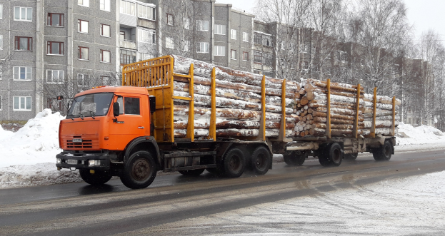 Lkw mit Holzladung auf verschneiter Straße mit Bäumen, Gebäuden mit Fenstern und einem klaren Himmel im Hintergrund.
