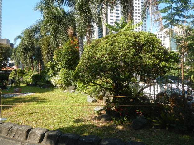 Ein grüner Park mit vielfältiger Vegetation, umgeben von einem Zaun, vor tall buildings unter einem klaren blauen Himmel.