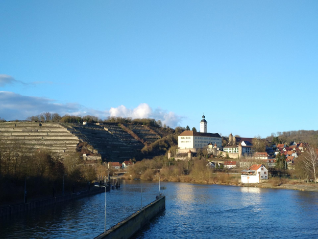 Ein malerischer Blick auf den Rhein in Deutschland, mit einer Brücke, die den Fluss überspannt, Laternenpfählen entlang der Ufer, Bäumen und Gebäuden entlang der Flussufer und einem Hügel im Hintergrund bei einem bewölkten Himmel.