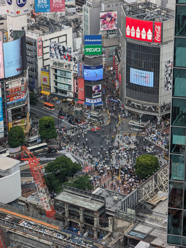Eine belebte Stadtstraße mit starkem Verkehr, hohen Gebäuden, Fahrzeugen, Bäumen, Pfählen und Schildern mit Text und Bildern, mit einem Wasserzeichen unten.