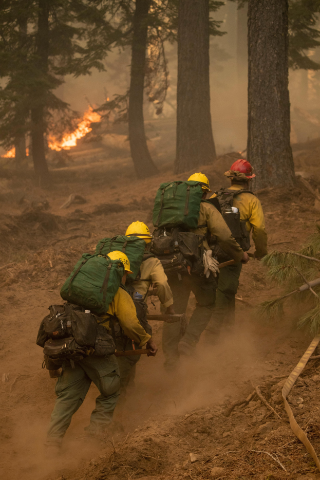 Eine Gruppe von Feuerwehrmönnen in Helmen und Rürcksack wandern durch einen Wald, mit einem Feuer in der Ferne.