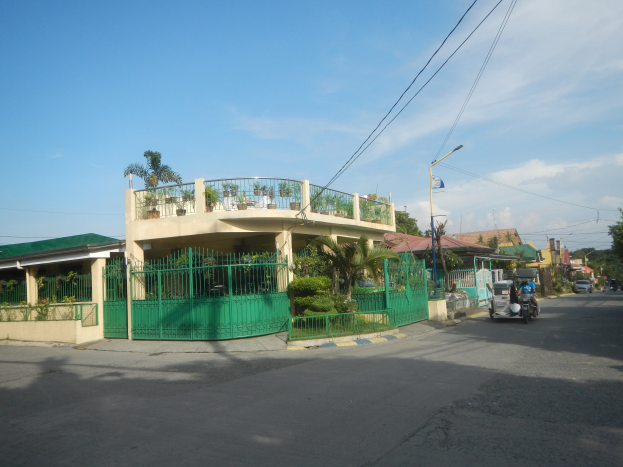 Eine Straße mit Fahrzeugen, ein grünes Gebäude mit einem Zaun, Geländern, Pflanzen, Bäumen, Polen, Lampen, Drähten, einer Flagge und einem bewölkten Himmel im Hintergrund.