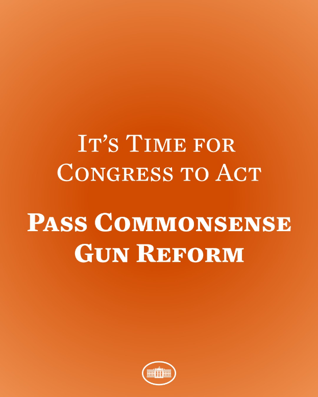 Ein Plakat mit der Aufschrift "Es ist Zeit für den Kongress, Commonsense-Waffengesetzreform zu verabschieden" in fetter schwarzer Schrift auf orangefarbenem Hintergrund.